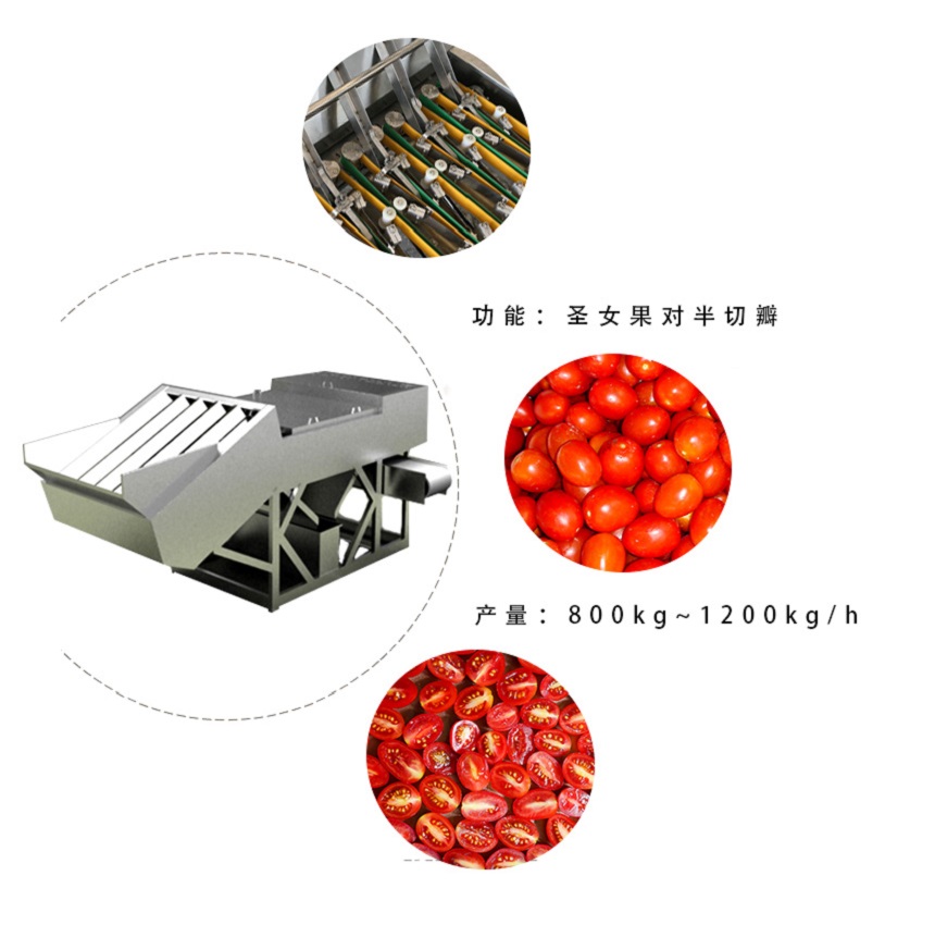 圣女果加工生产线